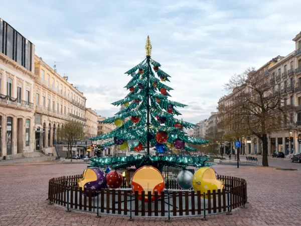 Visita la Web de Abeto Mágico Abeto Mágico